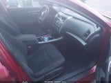 Miniaturka zdjęcia 5