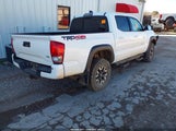 Miniaturka zdjęcia 4