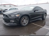 Ford Mustang Gt 1FA6P8CF0G5304162 снимка