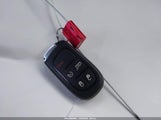 Miniaturka zdjęcia 11