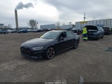Miniaturka zdjęcia 2