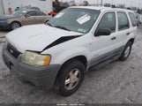 Ford Escape Xls 1FMYU01122KA26097 снимка