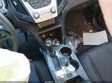 Miniaturka zdjęcia 11