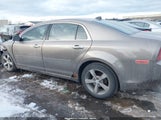 Chevrolet Malibu 1Lt 1G1ZC5E06CF244234 снимка