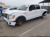 Ford F-150 Fx4/King Ranch/Lariat/Platinum/Xl/Xlt 1FTPW14V69FA89981 photo