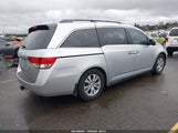 Honda Odyssey Ex-L 5FNRL5H69EB034550 снимка