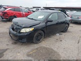 Toyota Corolla Le 2T1BU4EE7AC381880 fotografie