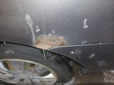 Toyota Corolla Le 1NXBR30E17Z882595 снимка