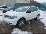 Nissan Murano Sl JN8AZ1MW2DW317753 fotografie