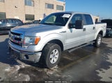 Ford F-150 Xlt 1FTFW1EF1DFB68261 снимка