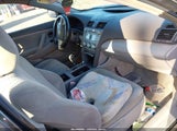 Miniaturka zdjęcia 5