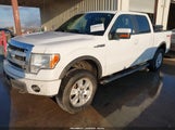 Ford F-150 Fx4/Harley-Davidson/King Ranch/Lariat/Platinum/Xl/Xlt 1FTFW1EV0AFC60707 снимка