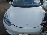 Miniaturka zdjęcia 10