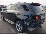 Mercedes-Benz Ml 350 4Matic 4JGDA5HB8FA581201 снимка