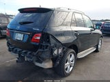 Mercedes-Benz Ml 350 4Matic 4JGDA5HB8FA581201 снимка