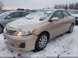 Toyota Corolla Le 2T1BU4EE5DC961892 fotografie