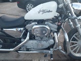 Miniaturka zdjęcia 8