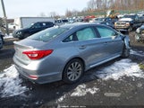 Hyundai Sonata Sport 5NPE34AFXHH551946 photo