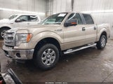 Ford F-150 Xlt 1FTFW1ET8DKG10353 снимка