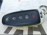 Miniaturka zdjęcia 11