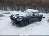 Ford Mustang Ecoboost Premium 1FATP8UH1G5331146 снимка