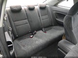Miniaturka zdjęcia 8