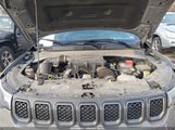 Jeep Compass Trailhawk 4X4 3C4NJDDNXRT610634 снимка