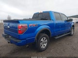 Ford F-150 Fx4 1FTFW1ET9DKF05286 снимка