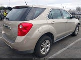Chevrolet Equinox Ls 2GNFLCEK8C6273171 fotografie