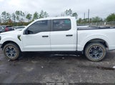 Ford F-150 Stx 1FTEW2KP6RKD55881 fotografie