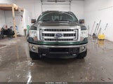 Ford F-150 Xlt 1FTFW1ETXDFC42864 снимка