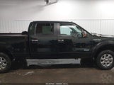 Ford F-150 Xlt 1FTFW1ETXDFC42864 снимка