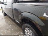 Ford F-150 Xlt 1FTFW1ETXDFC42864 снимка