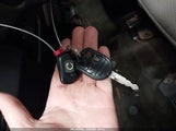 Miniaturka zdjęcia 11