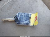 Miniaturka zdjęcia 11