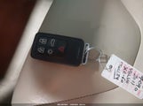 Miniaturka zdjęcia 11