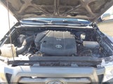 Toyota Tacoma Prerunner V6 3TMJU62N79M083196 photo