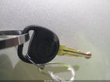 Miniaturka zdjęcia 11