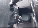 Miniaturka zdjęcia 11