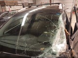 Hyundai Tucson Walking Dead Edition KM8JUCAG4EU936804 снимка