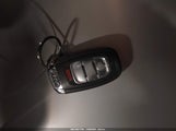 Miniaturka zdjęcia 11