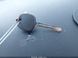 Miniaturka zdjęcia 11