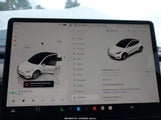 Miniaturka zdjęcia 7