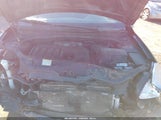 Miniaturka zdjęcia 10