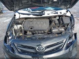Toyota Corolla Le JTDBU4EE7BJ095761 снимка