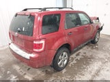 Ford Escape Xlt 1FMCU03198KC81619 fotografie