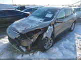 Miniaturka zdjęcia 2
