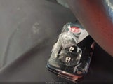 Miniaturka zdjęcia 11