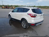 Miniaturka zdjęcia 3