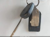 Miniaturka zdjęcia 11